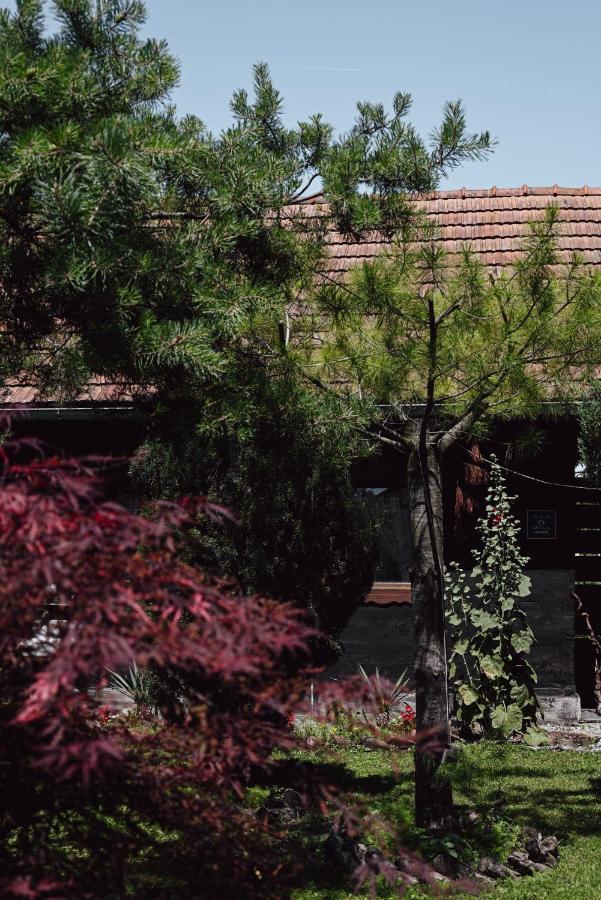 Appartamento House For Rest Juliet Velika Gorica Esterno foto