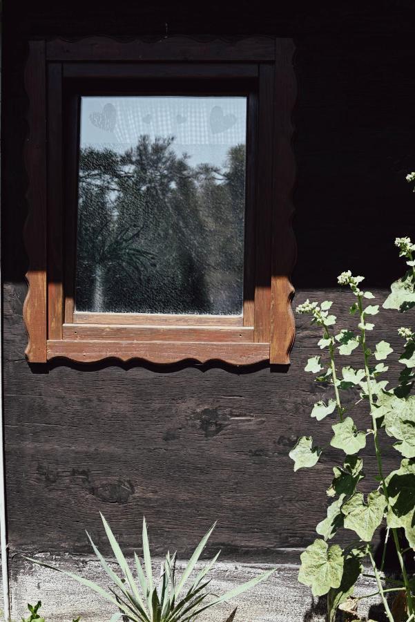 Appartamento House For Rest Juliet Velika Gorica Esterno foto